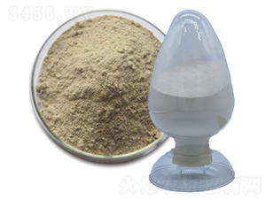 �ݲ�ѿ�ߗU��-��������