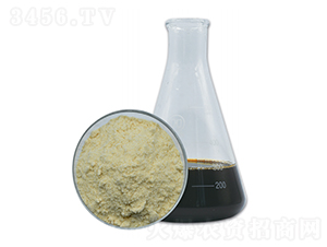 5-������������-��������