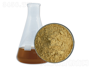 ������-��������