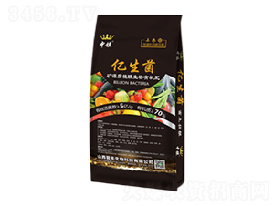 �VԴ��ֲ�������ЙC(j��)��-�|����-�x�S����