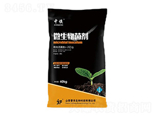 2�|��΢�������-���(zh��n)-�x�S����