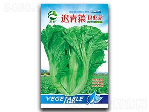 �t��˰��Ľ�N��-�����r(n��ng)�I(y��)