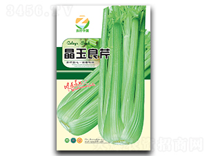 ��������-�۲˷N��-�����r(n��ng)�I(y��)