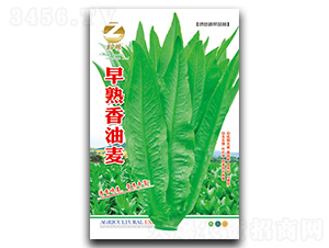 ����������-�����˷N��-�����r(n��ng)�I(y��)