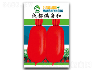 �ɶ��M���t�}���N��-�����r(n��ng)�I(y��)