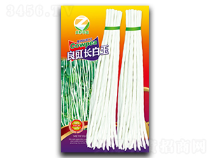 �����L(zh��ng)����-�����N��-�����r(n��ng)�I(y��)