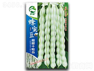 ���۶�����ʮ����-�����N��-�����r(n��ng)�I(y��)