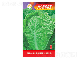 �ײ˷N��-�����-�����r(n��ng)�I(y��)