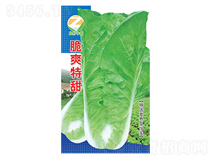 �ײ˷N��-��ˬ����-�����r(n��ng)�I(y��)