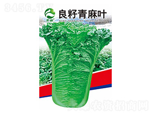 �ײ˷N��-���������~-�����r(n��ng)�I(y��)