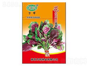 �f�ͻ��t��A�~�{�˷N��-�f��N�I(y��)