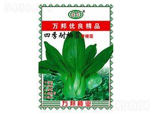 �ļ��ͳ�̦�๣�˷N��-�f(w��n)��N�I(y��)