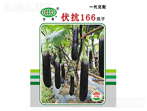 ����166����-���ӷN��-�f(w��n)��N�I(y��)