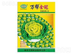 ��ڞ����˷N��-�f(w��n)��N�I(y��)