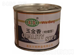 ���������ˣ��ذ��ͣ�-�����˷N��-�f(w��n)��N�I(y��)