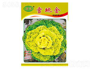 ѩ�ؽ��ذ��ͣ�-�����˷N��-�f(w��n)��N�I(y��)