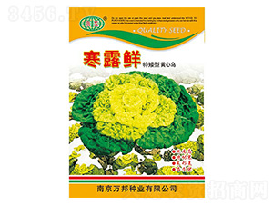 ��¶�r�����˷N��-�f(w��n)��N�I(y��)