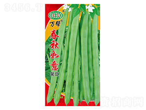 ���������ļ����N��-�f(w��n)��N�I(y��)