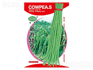 新育矮蔓豇豆種子-萬(wàn)邦種業(yè)