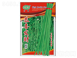 ��ϲ�l(f��)ؔ(c��i)�����N��-�f��N�I(y��)