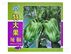 �ش������-�����N��-���S�N��