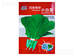 �ļ��๣С�ײ�-�ײ˷N��-���S�N��