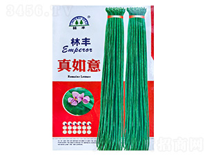 ������-�����N��-���S�N��