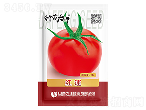 �t�\(y��n)-���ѷN��-���S�N�I(y��)