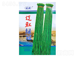 �|���G��-�����N��-���S�N��