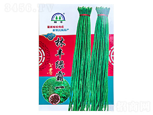 ���S�����N��-���S�N��