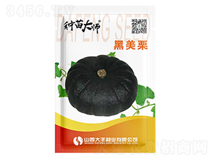 ������-�ϹϷN��-���S�N�I(y��)