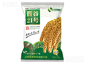 �x��21̖(h��o)-�����N��-���S�N�I(y��)