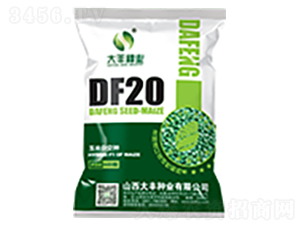 DF20-���׷N��-���S�N�I(y��)