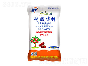 �������22-8-10-���S���-���S�ʘI(y��)