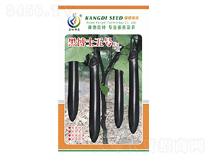 �ڲ�ʿ5̖-���ӷN��-���ؿƼ�