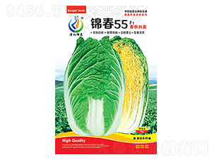 �\��55-�ײ˷N��-���ؿƼ�