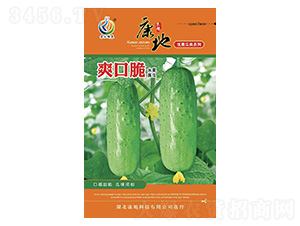 ˬ�ڴ�-�S�ϷN��-���ؿƼ�