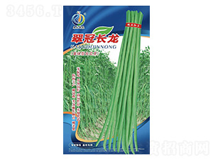 ����L��-�����N��-���ؿƼ�