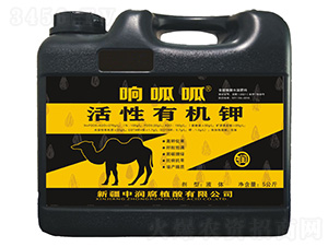 �����ЙC(j��)�-�����-�Н�(r��n)��ֲ��