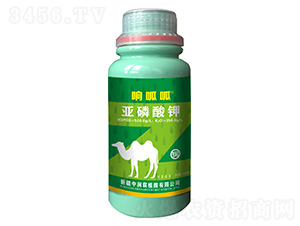 �������-�����-�Н���ֲ��