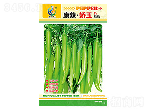 ����������-�����N��-���ؿƼ�