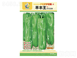 ���S��-�����N��-���ؿƼ�