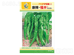 ���������S-�����N��-���ؿƼ�