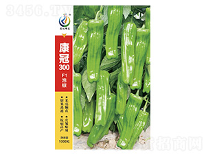 ����300���£�-�����N��-���ؿƼ�