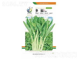 �ร-��޷�N��-���ؿƼ�