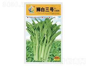 �{����̖-��޷�N��-���ؿƼ�