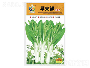 ���(l��i)�r-��޷�N��-���ؿƼ�