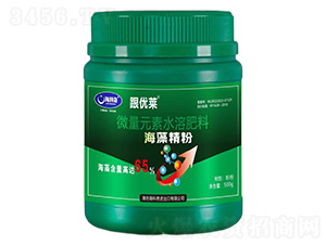 ���徫��-������