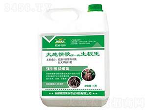 ������-�Z�߹���