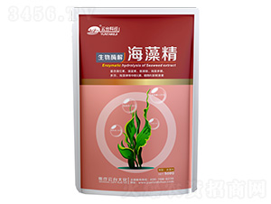 ���徫500G-���_(t��i)��